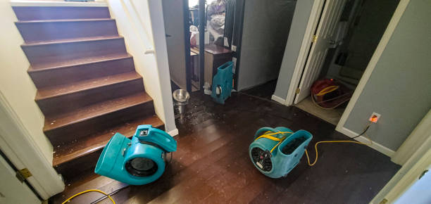 Best 24-hour water damage restoration  in Brownsboro, TX