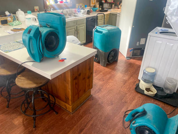 Best Ceiling water damage repair  in Brownsboro, TX