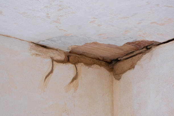Best Basement water damage restoration  in Brownsboro, TX