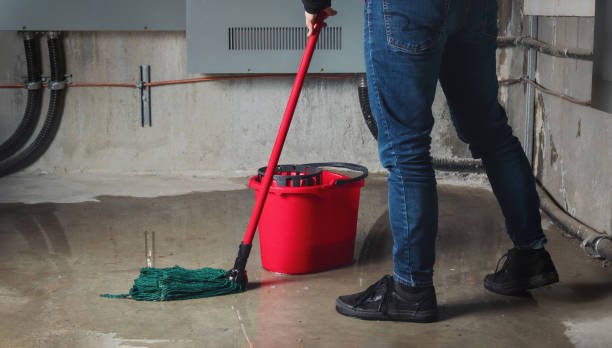 Best Water damage restoration near me  in Brownsboro, TX