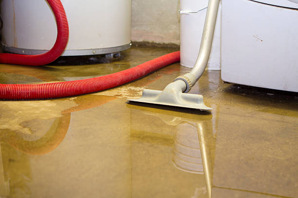 Sewage cleanup and water damage restoration in Brownsboro, TX