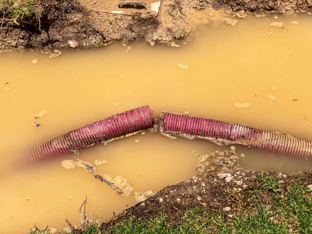  Brownsboro, TX Water damage restoration Pros