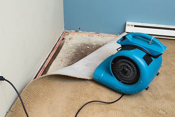 Best Residential water damage restoration  in Brownsboro, TX